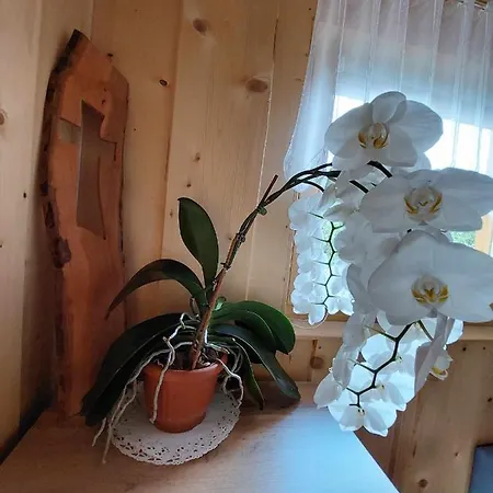 Prázdninový dům Pocitniska Hiska Lastovka Podvolovljek