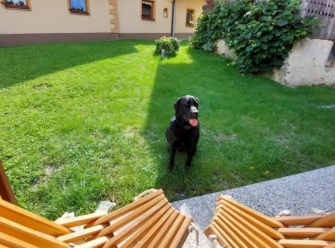 Prázdninový dům Pocitniska Hiska Lastovka